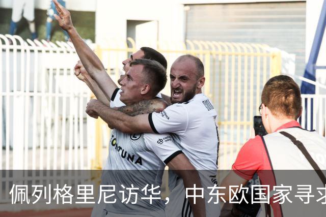佩列格里尼访华，中东欧国家寻求中国投资支持